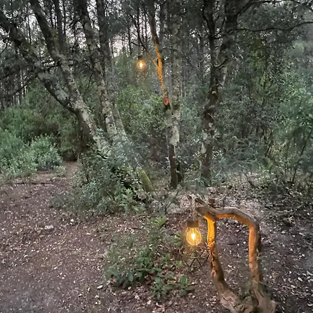 Les Ptis Chiffons 3* Lacanau