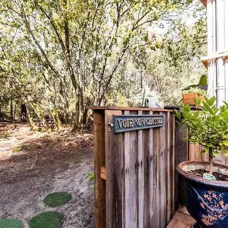 Les Ptis Chiffons 3*