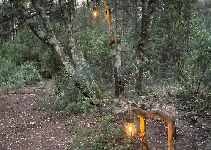 Les Ptis Chiffons 3* Lacanau