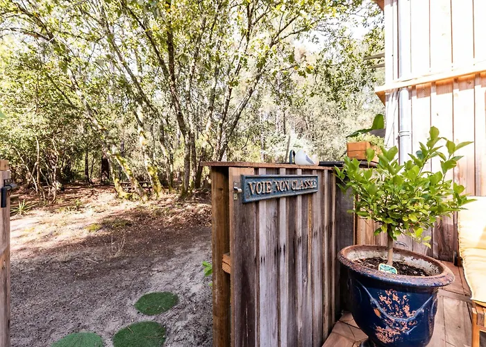 Les Ptis Chiffons 3*